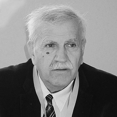 Mladen Karic